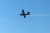 canadair c.DLT