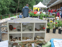 Fête de la nature Fête de la nature