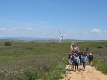 Au pied des éoliens