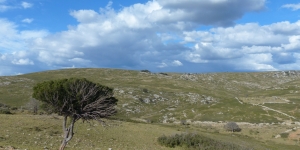 Causse d'Aumelas Causse d'Aumelas