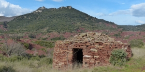 capitelle-canyon-ruffes-rocher-des-vierges