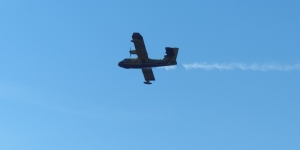 canadair c.DLT